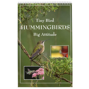 Hummingbirds Tiny Bird Big Attitude Calendrier