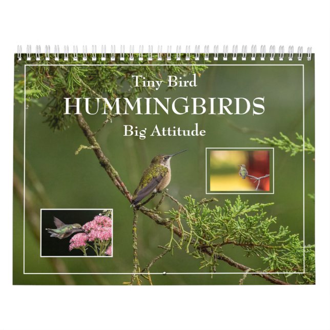 Hummingbirds Tiny Bird Big Attitude Calendrier (Protection)
