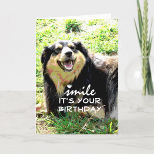 humour de carte d'anniversaire pour chien mignon s