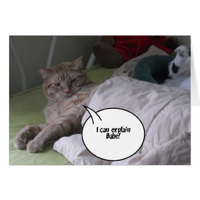 Humour de chat Tabby Orange (Devant horizontal)