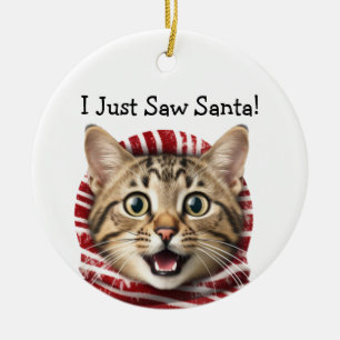 Humour de Noël Kitty Ornement de chat