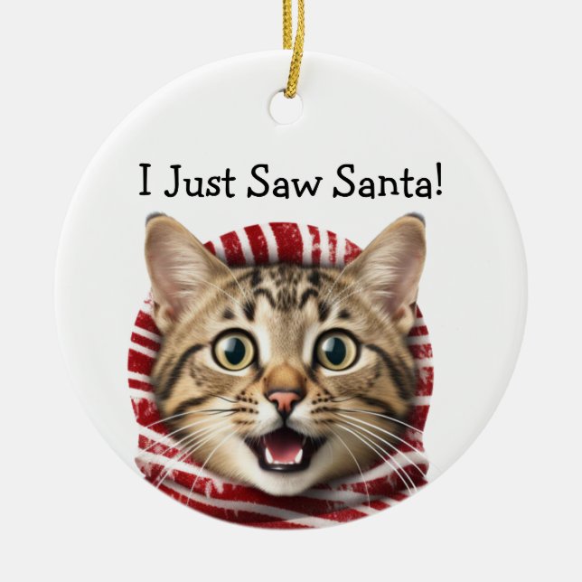 Humour de Noël Kitty Ornement de chat (Devant)