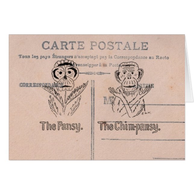 Humour de Pansy et Chimpanzé (Devant horizontal)
