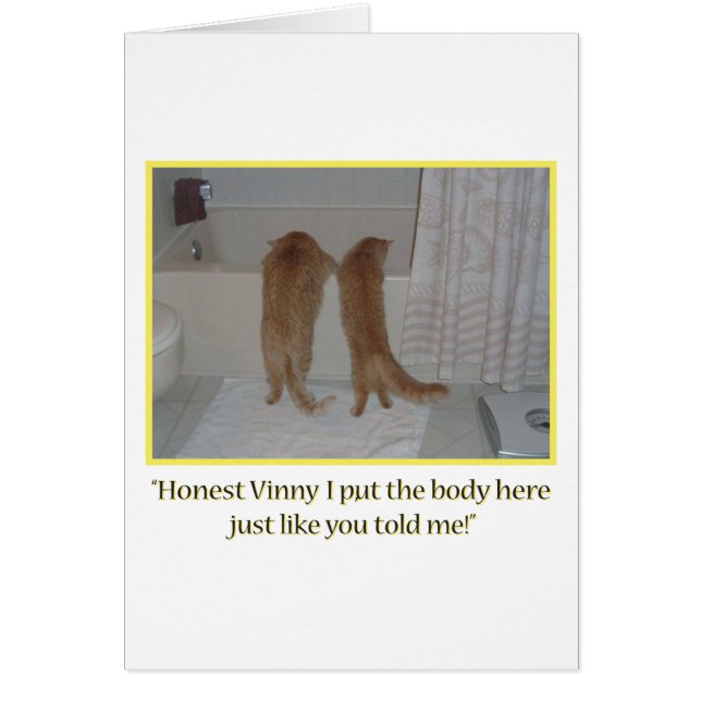 Humour des chats mafieux (Devant)