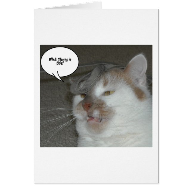 Humour du Bachelor Party (Devant)