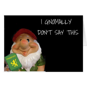 HUMOUR GNOME *SOUHAITEZ QUE JE VIENNE AVEC VOUS* E