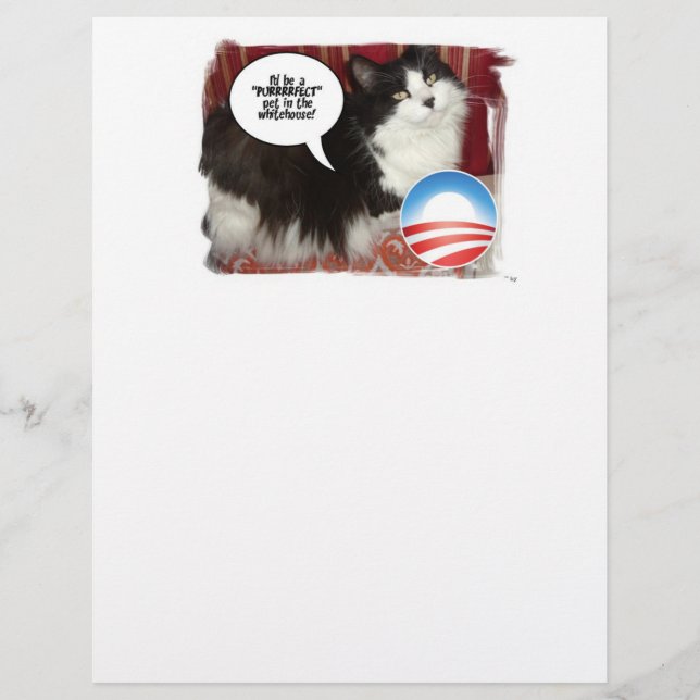 Humour politique du chat (Devant)