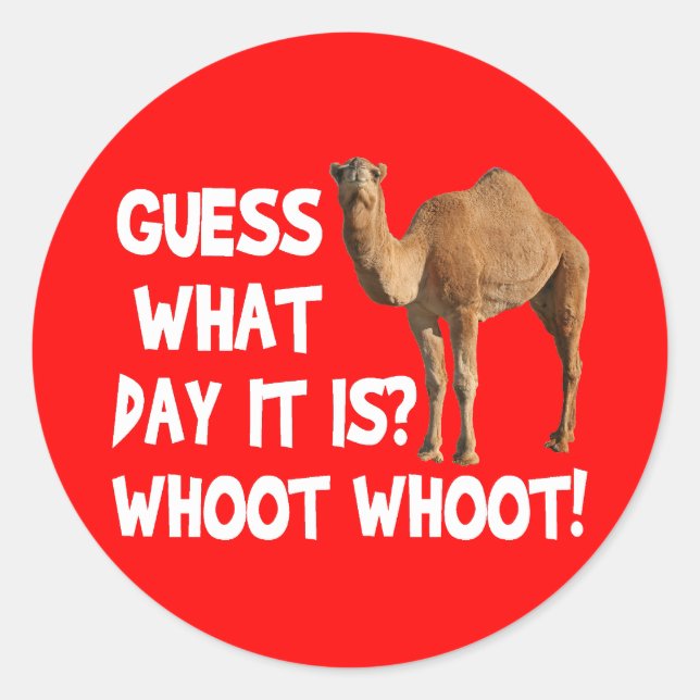 Hump Day Camel Devinez Quel Jour C'Est Stickers (Devant)