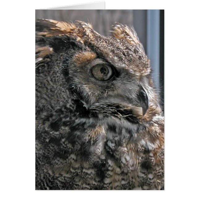 Humphrey (Devant)