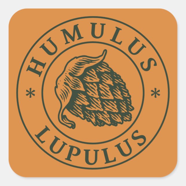 Humulus lupulus autocollant carré (Devant)