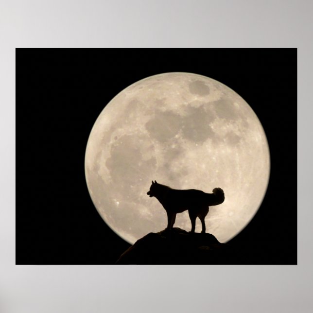 Husky Art Print Sled Dog Art Poster Husky Cadfts (Devant)