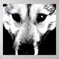 Husky Art Print Sled Dog Art Poster Wolf Pup Cadea
