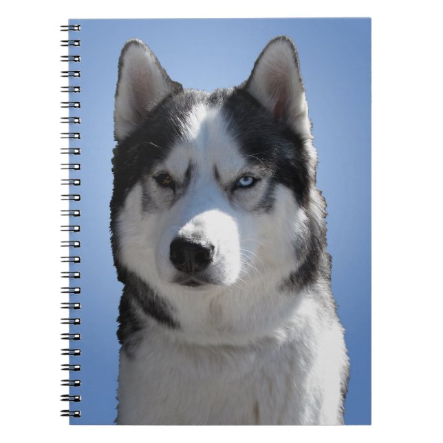 Husky Carnet Siberian Husky Journal Sleddog Livre (Devant)