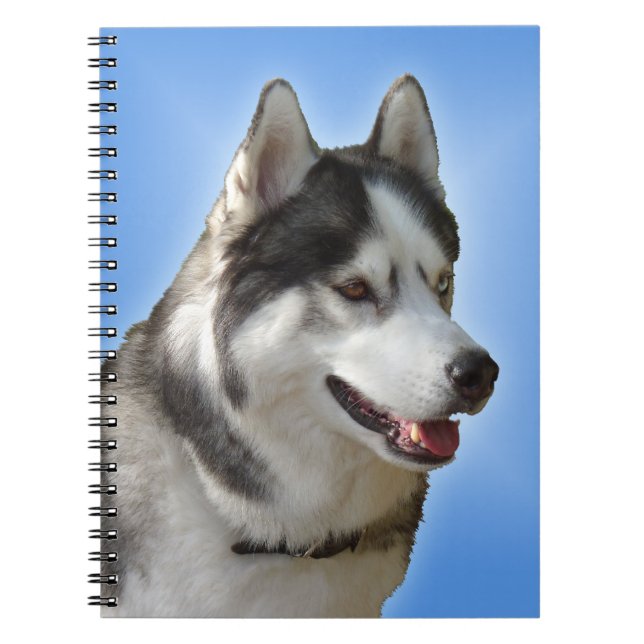 Husky Carnet Sibérien Husky Cadeaux et Livres (Devant)