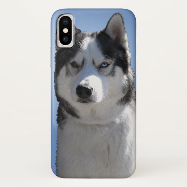 Husky coques iphone Husky Malamute  Coques (Dos)