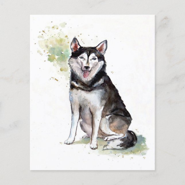 Husky dog Canvas (Devant)