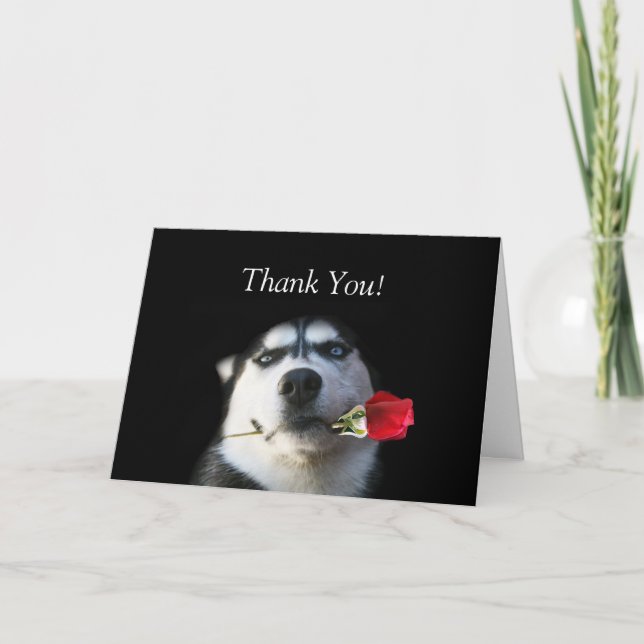 Husky et Carte de remerciements Rose (Devant)