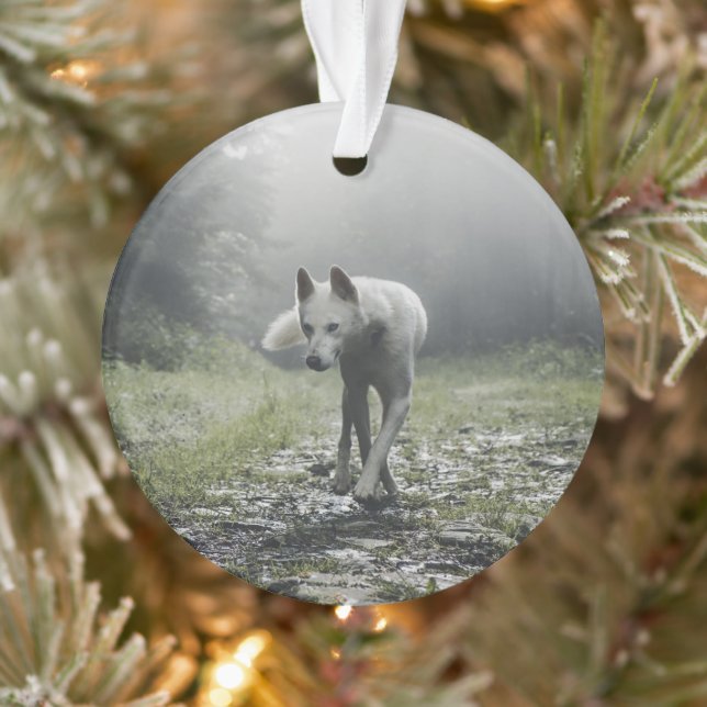 Husky Sibérien Blanc (Arbre)