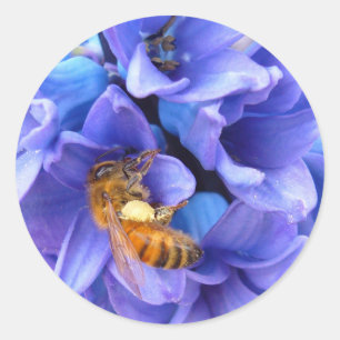HYACINTH BLEU ~ Stickers