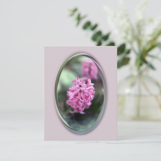 Hyacinth in spring (Debout devant)
