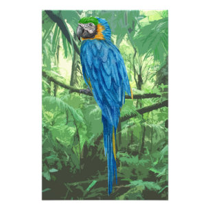 Hyacinth Macaw Design Photo élargissement
