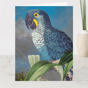 Hyacinth Macaw Parrot Bird Bonne carte d'anniversa