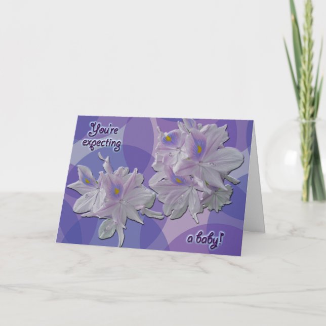 Hyacinthe de l'eau s'attendant à la carte bébé (Devant)