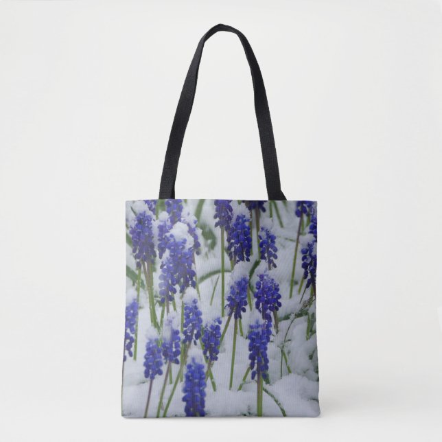 Hyacinthes de raisins dans un sac à neige (Devant)