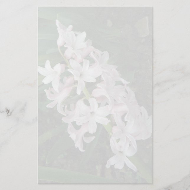 Hyacinths Papeterie (Devant)