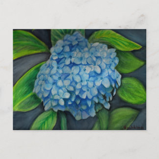 Hydrangea aquarelle Carte postale