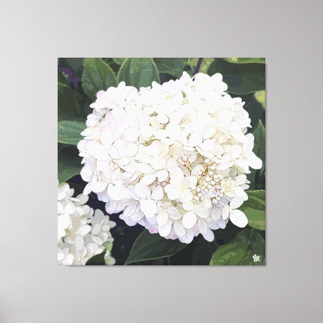 Hydrangea - Blanc et violet - Imprimer sur toile (Recto)