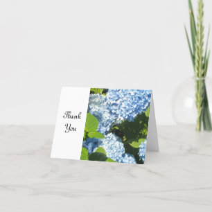 Hydrangea Bleu Clair Merci