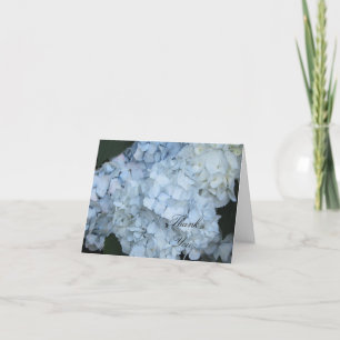 Hydrangea Bleu Merci