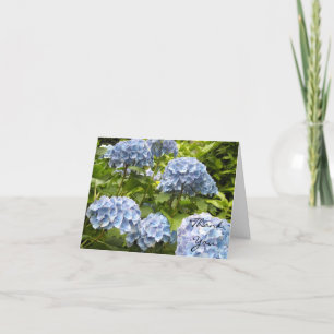 Hydrangea Bleue Merci