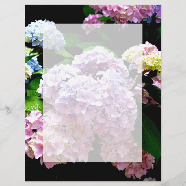 Hydrangea garden, rose, bleu, purple floral (Devant)