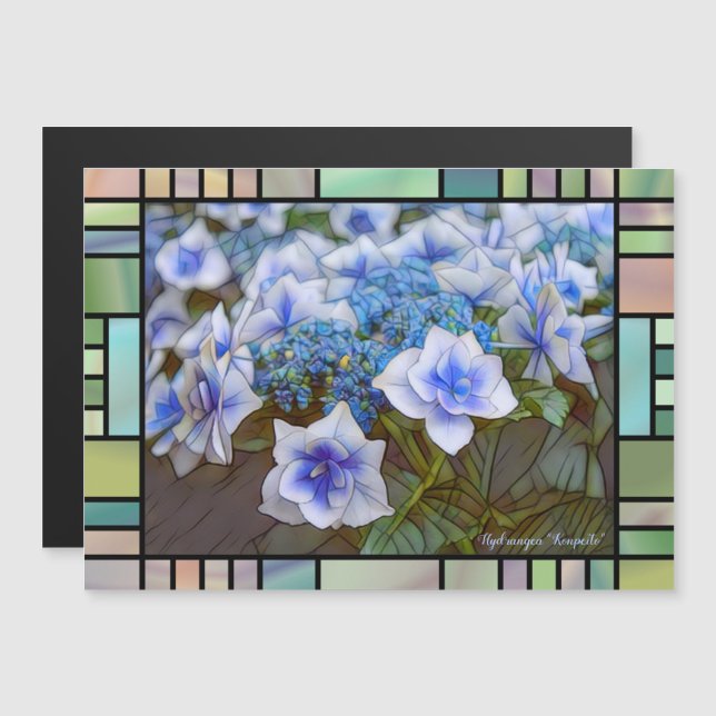 Hydrangea "Konpeito" [Magnet Card] (Devant / Derrière)