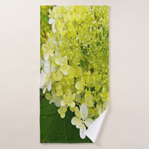 Hydrangea Limelight Vert Chartreuse Élégant