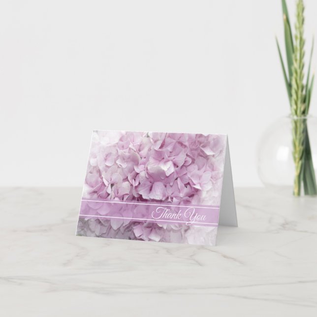 Hydrangea Merci rose doux (Devant)