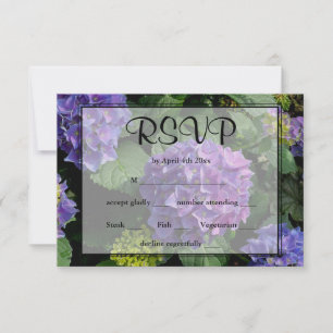 Hydrangeas bleu violet fleuri jardin fleuri RSVP
