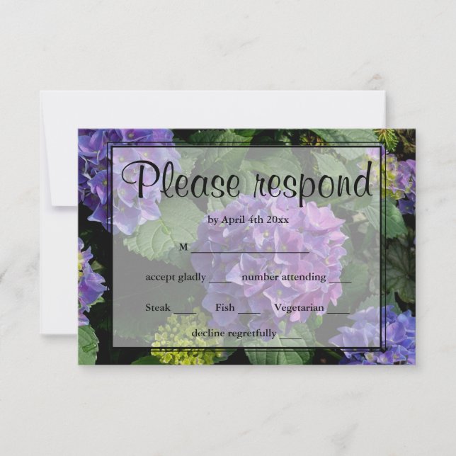 Hydrangeas bleu violet fleuri jardin fleuri RSVP (Devant)
