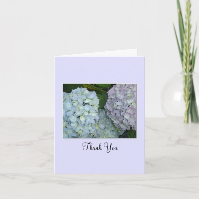 Hydrangeas Pastel Merci (Devant)