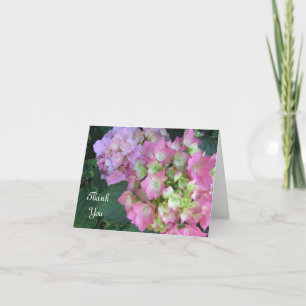 Hydrangeas rose Merci