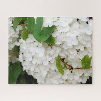 Hydrangée blanche 16 x 20 Puzzle par jjhelene