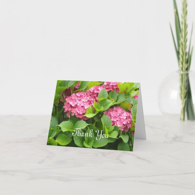 Hydrangée rose profonde Merci (Devant)