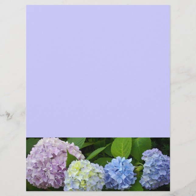 Hydrangées florales bleu pourpre (Devant)