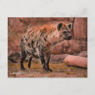 Hyena : Carte postale