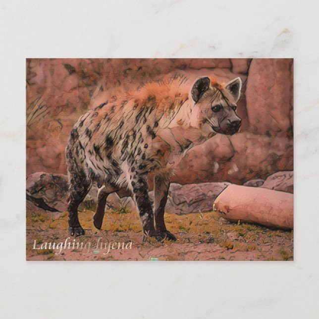 Hyena : Carte postale (Devant)
