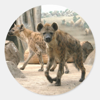 Hyena Prend Un Sticker À Regarder
