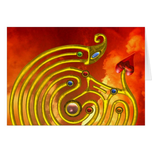 HYPER LABYRINTH (Devant horizontal)