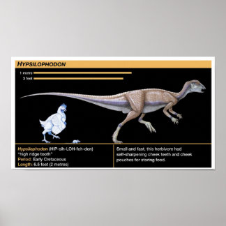 Hypsilophodon - Biologie Affiche de dinosaure jura